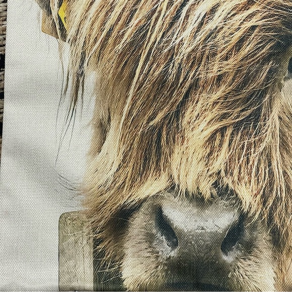 Highland Cow Pillow Cover NWOT - Picture 5 of 5